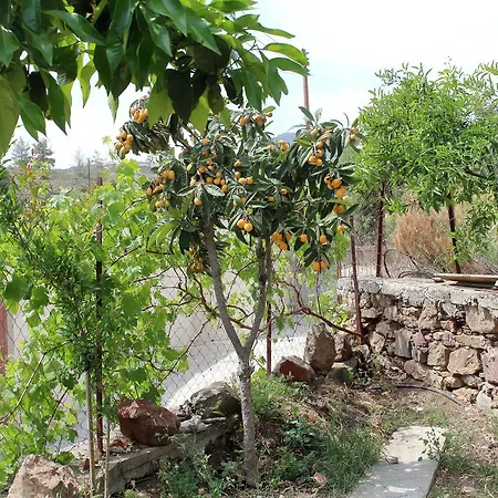 Cozy Village House Σπίτι διακοπών Ora